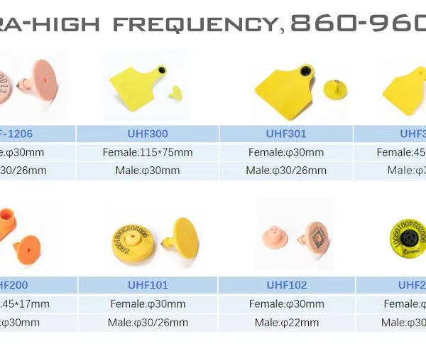 EID RFID FDX-B Available Ear Tag for Cattle 115*75mm Large Size Easy for Livestock Management photo-5