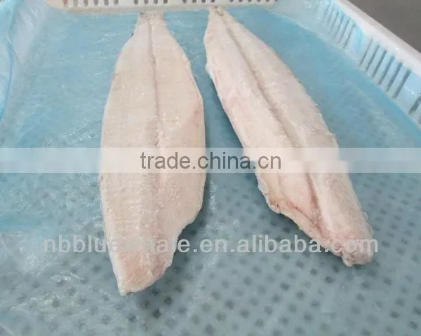 Deep Processed IQF Frozen Spanish Mackerel Fillet