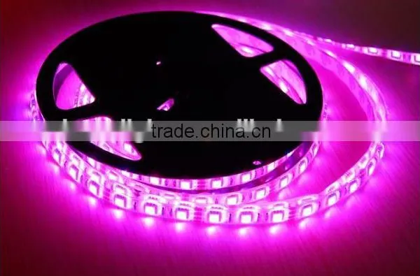 2 Years Warranty Super Bright Smd 3014 Led Strip 12v 240 Leds