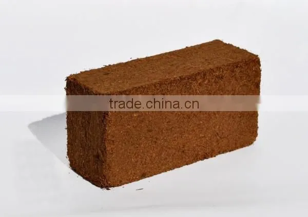 Coir Pith for Gerbera Plants