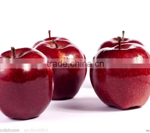 Red Delicious Apple