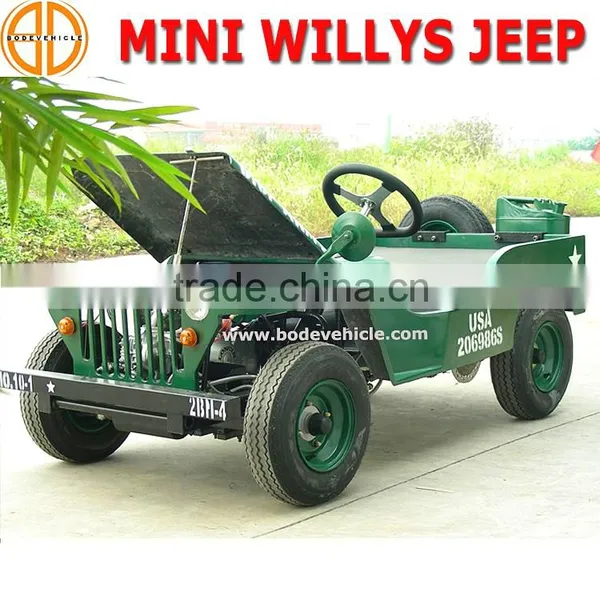 Bode Quality Assured Gas Adult Dune Buggies for Sale Mud Fun photo-4