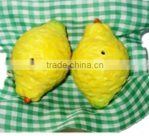 Ceramic Salt and Pepper Shaker photo-5