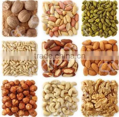 Peanut Paste Production Line/Macadamia Roaster Machine photo-2
