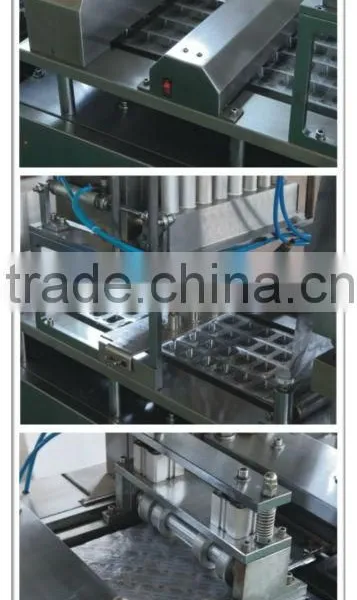Blister Packing Machine DPP-350A photo-5