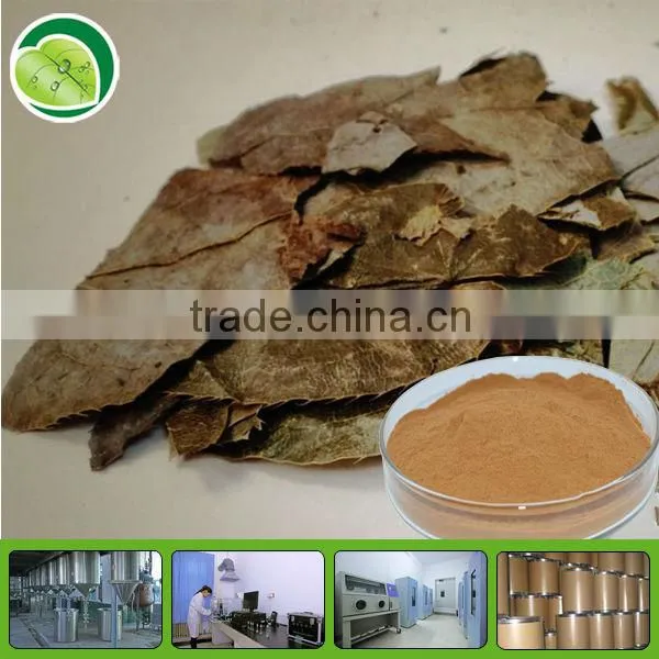 Epimedium Extract Icariin 80%