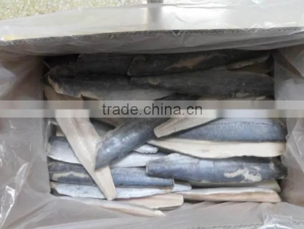 2016 Hot Sale Newly Frozen Spanish Mackerel Fillet photo-3
