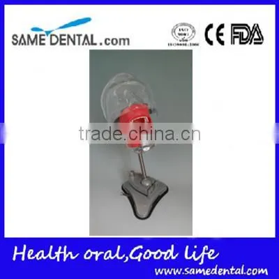 Multifunctional Simple Head Mold Dental Model photo-2