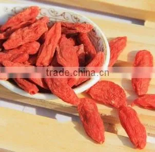 Hot Selling Goji Berry or Goji Berries photo-3