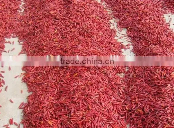 Dried Chilli