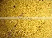 CORIANDER SEEDS / CORIANDER POWDER