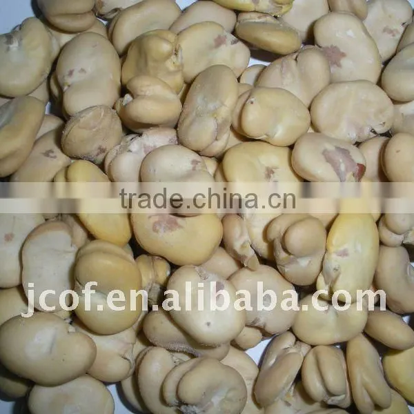PEELED BROAD BEANS WHOLE GRAIN(656)