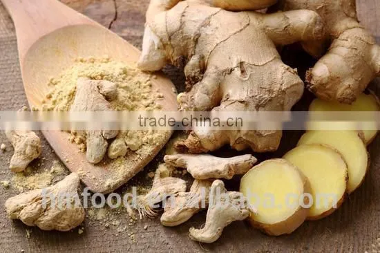 Good Quality Dehydrated Ginger Slices photo-4