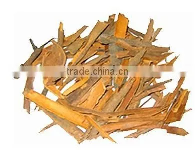 BROKEN CASSIA FROM VIETNAM