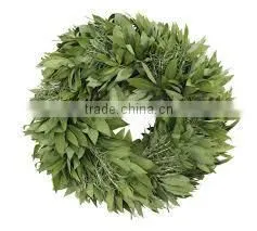 Bay Leaf Oil (Cinnamomum Tamala) photo-2