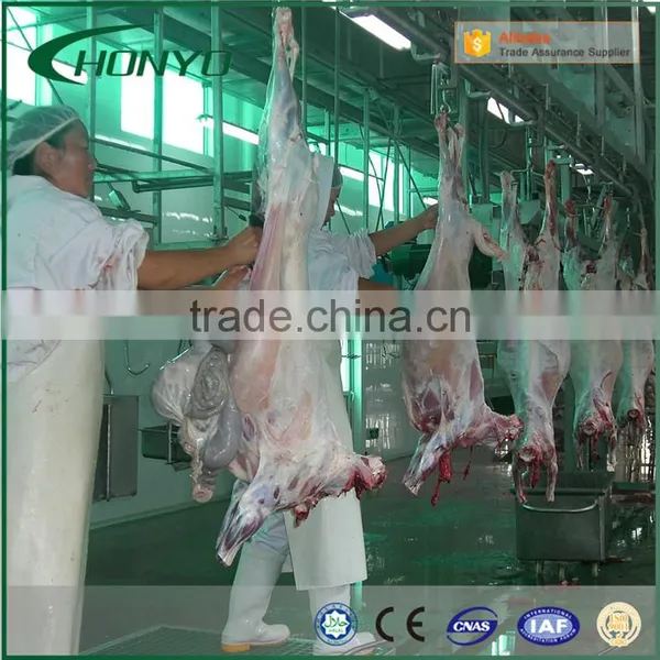 HALAL Automatic Sheep Conveying System Slaughtering Machine Of Sheep Abattoir Equipment photo-2