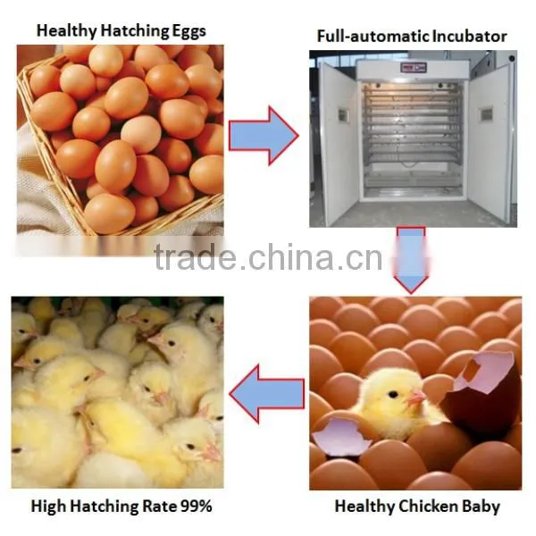 Hot Sale!! Chicken/ Eggs/duck/goose/China Incubator 88 Eggs photo-3