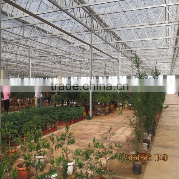 Tropical Sawtooth Greenhouse photo-3