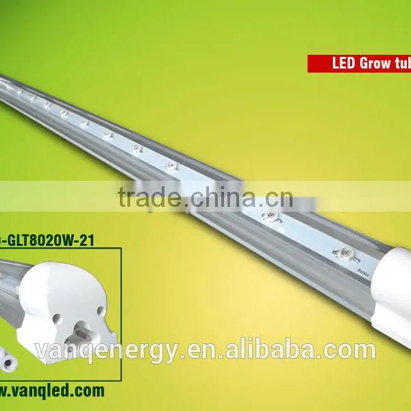 Wifi Controller LED Grow Light 10w T8 For Greenhouse Project New Technolgy Smart LED Lighting photo-3