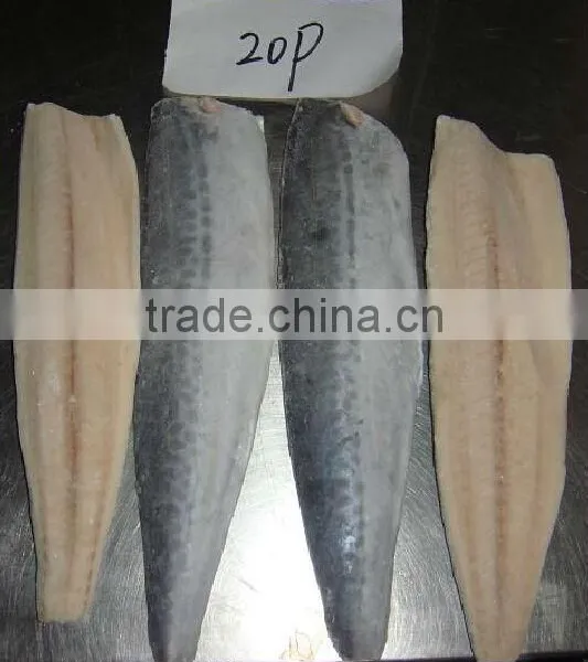 Frozen Spanish Mackerel Fillet photo-4