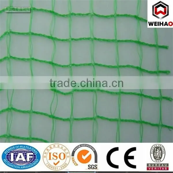 Factory Anti-bird Mesh/plastic Net photo-3