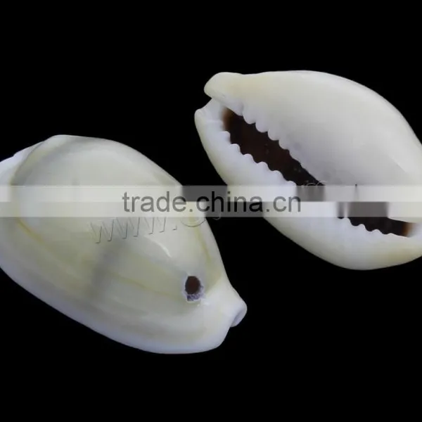 Trumpet Shell Cowry Shell Beads photo-2