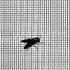 Insect Screening,Fiberglass Screen,Fiberglass Window Screen,Screening,Window Screening