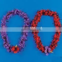 Hawaii Flower Lei
