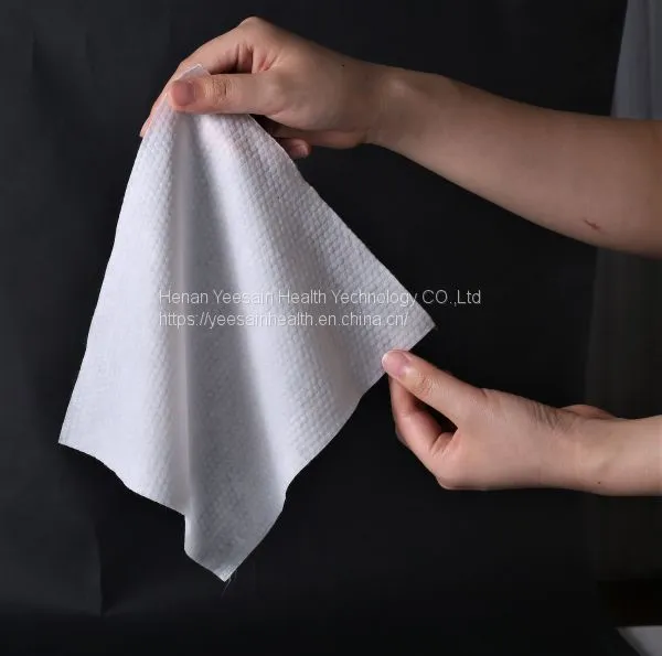China Antibacterial Dog&cat Multi-purpose Nonwoven Spunlace Pet Cleaning Wet Wipes photo-2