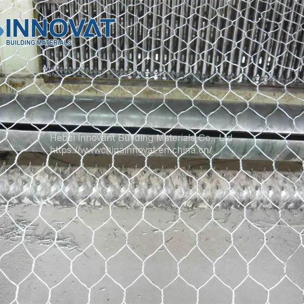 Galvanized Hexagonal Wire Mesh for Chicken and Pets photo-4