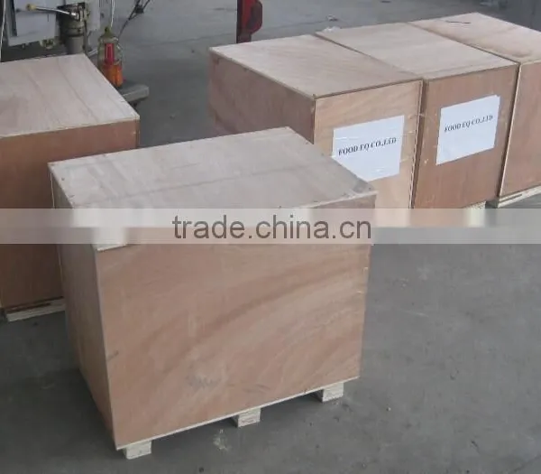 Manual Injector for Beef With Good Price photo-5