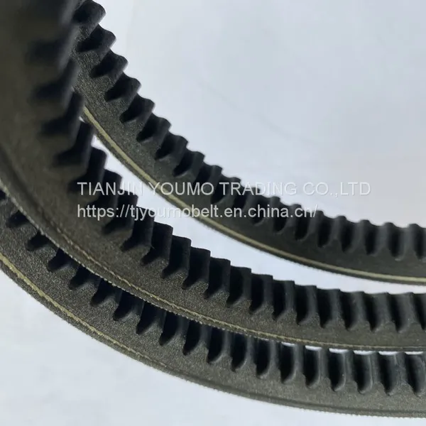 Raw Edge Cogged V Belt photo-2
