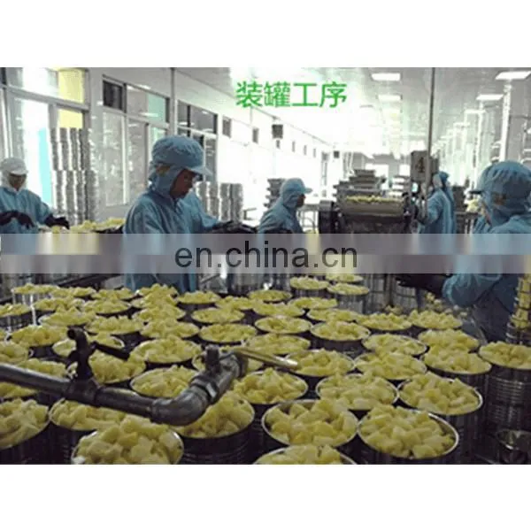Shanghai Factory Automatic Industrial Canned Fruit Ginaca Pineapple Canning Machine Processing Plant Production Line photo-3