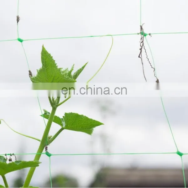 PEA & BEAN / FLOWER MESH