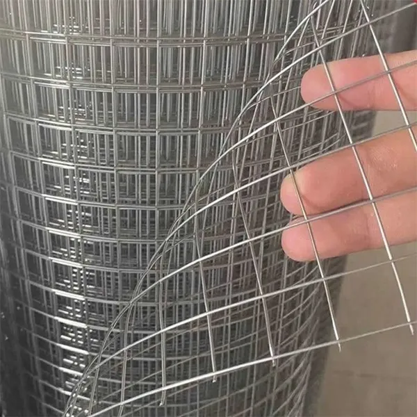 Factory Galvanized Iron Wire Mesh Roll Square Hole Welded Steel Chicken Cage Mesh With PVC Coating photo-1