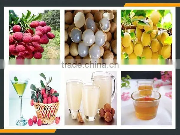 Leader Large Capacity and High Peeling Rate Litchi Skin Separater Machine photo-6