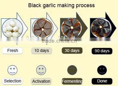 Factory Direct Sell Black Garlic Fermentation Box Price photo-5