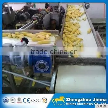 Food Grade Belt Conveyor Used For Food Industry photo-2