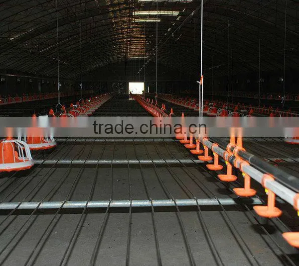 High Quality Automatic Poultry Farming Equipment photo-6