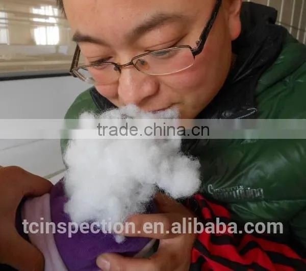 Plush Toys Inspection photo-3
