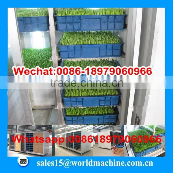 Hydroponicpoultry Feed Machine for Sale/hydroponic Fodder System/hydroponics Fodder Hydroponic Culturing Barley Breeding Machine photo-6
