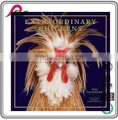 Extrordinary Chickens Double Month Printing Islamic Calendars photo-4