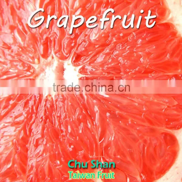 Best Quality Fresh Grapefrui