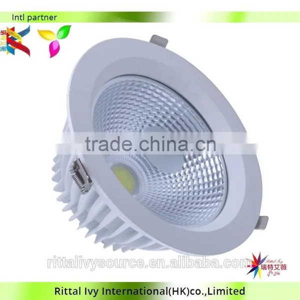 Customized Cob Downlight With
