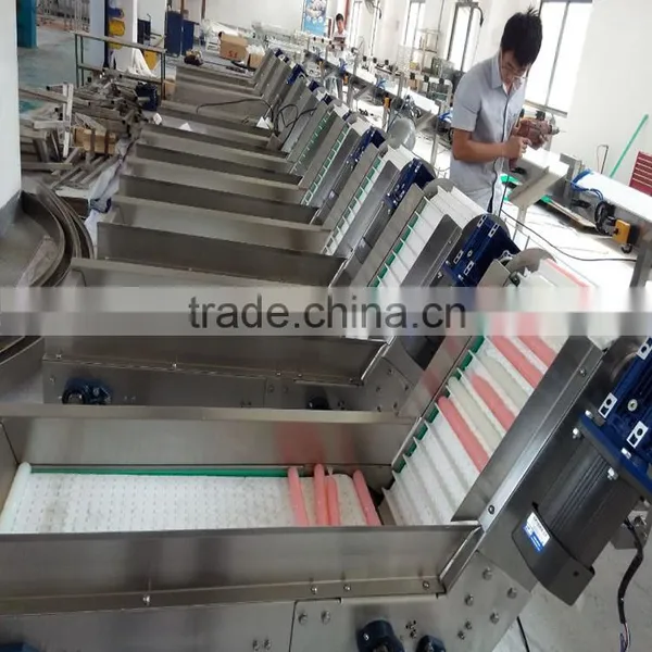 Food Belt Conveyor for Different Industries photo-2
