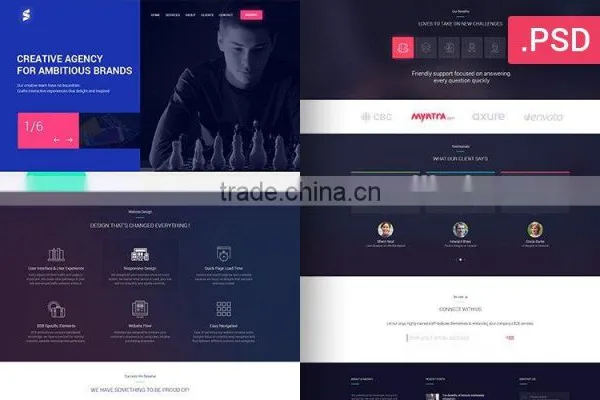 Ecommerce Website Design photo-4