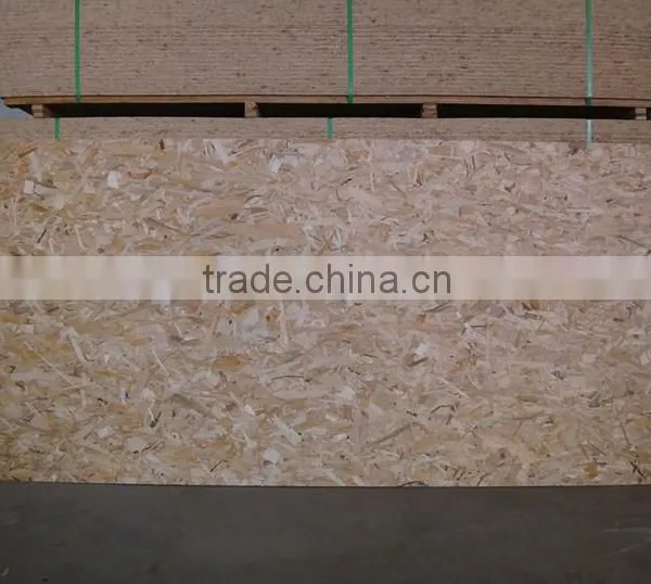 Discount 20mm E2 Osb photo-6
