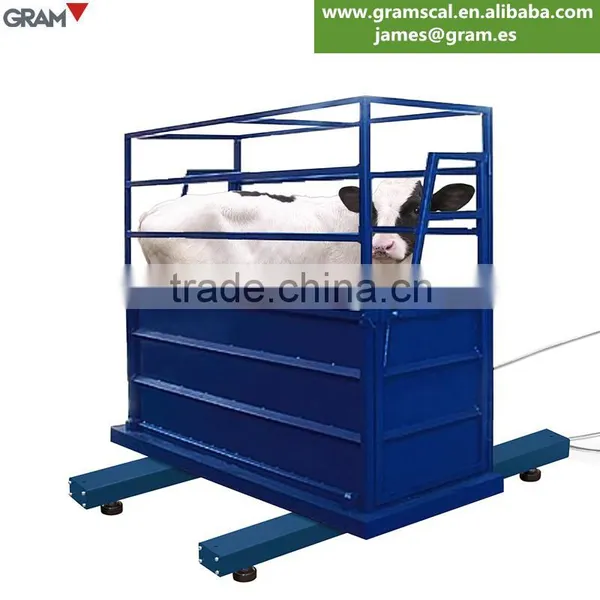 3ton / 1kg Hot Sales Zebra 8 Digital Electronic Cattle Weighing Scales photo-5