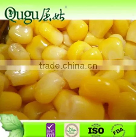 new season canned sweet corn factory/cheap price sweet corn/ corn factory