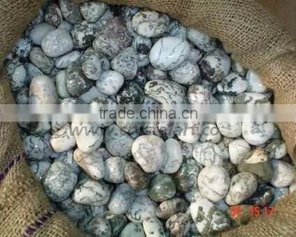 GREEN TREE AGATE TUMBLED PEBBLES STONE photo-3